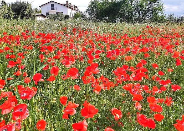 Da Nella Dimora Di Campagna