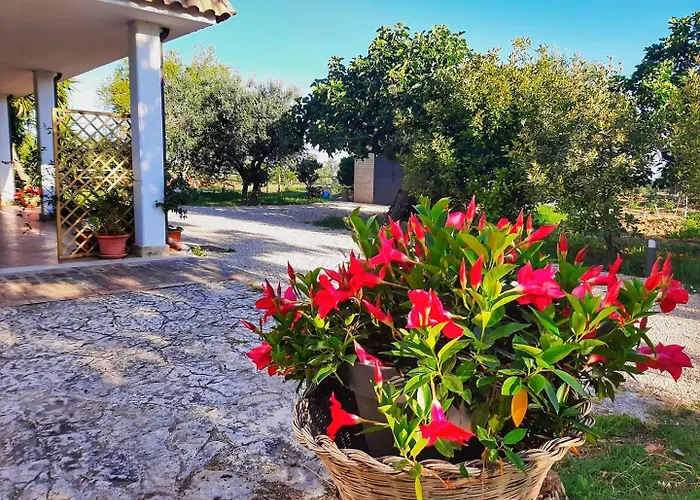 Da Nella Dimora Di Campagna