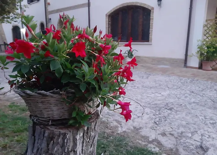 Da Nella Dimora Di Campagna