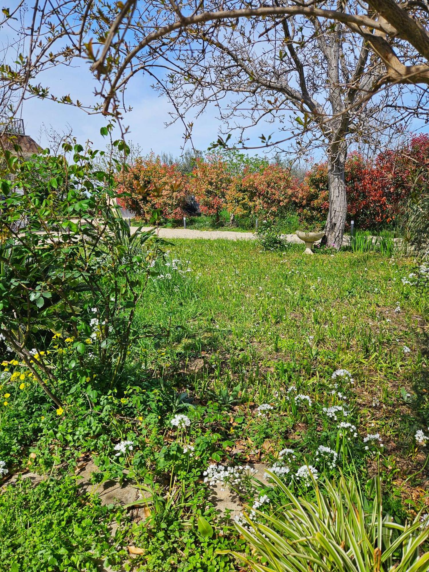 Da Nella Dimora Di Campagna Holiday home Vasto