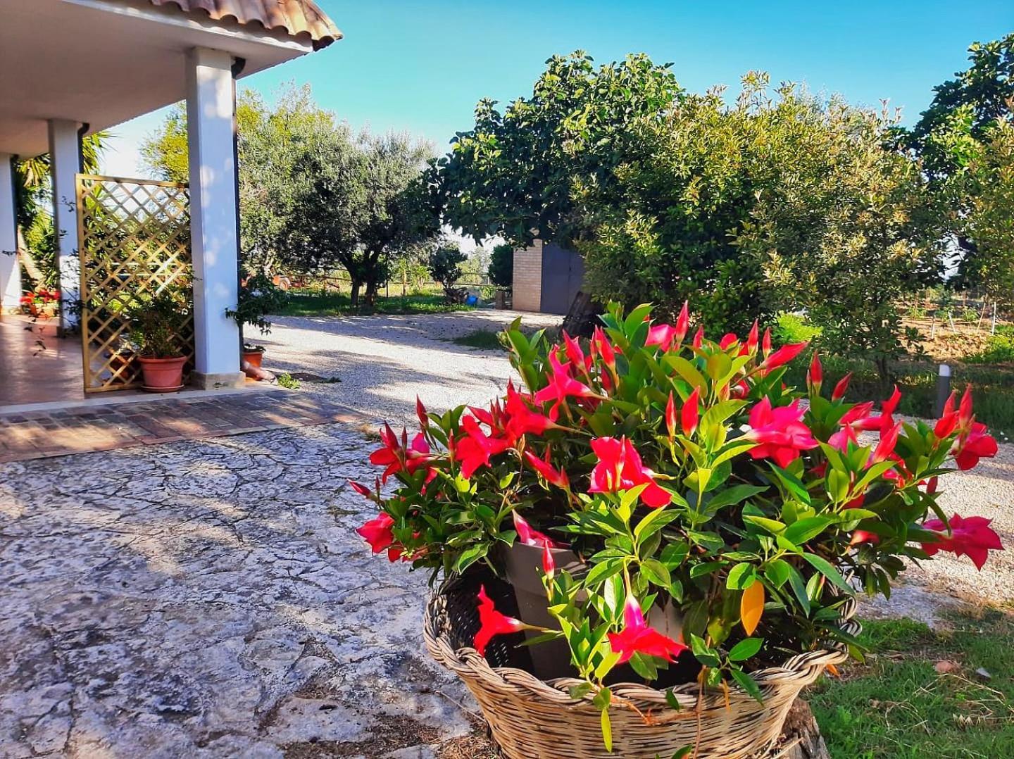 Holiday home Da Nella Dimora Di Campagna *