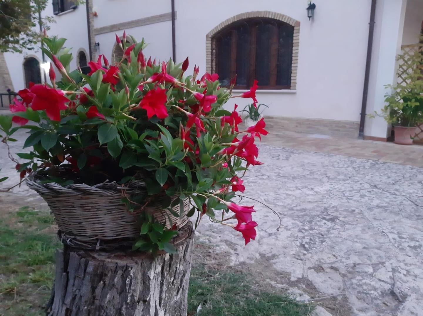 Da Nella Dimora Di Campagna Holiday home